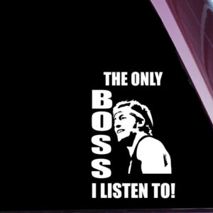 Bruce Springstine – The Boss