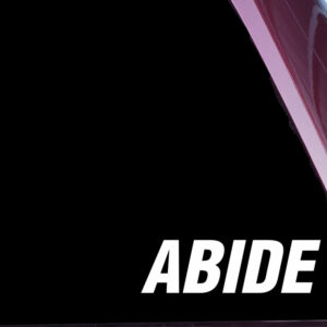 The Dude ABIDE