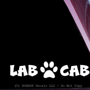 Lab Cab